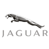 jaguar for Sale