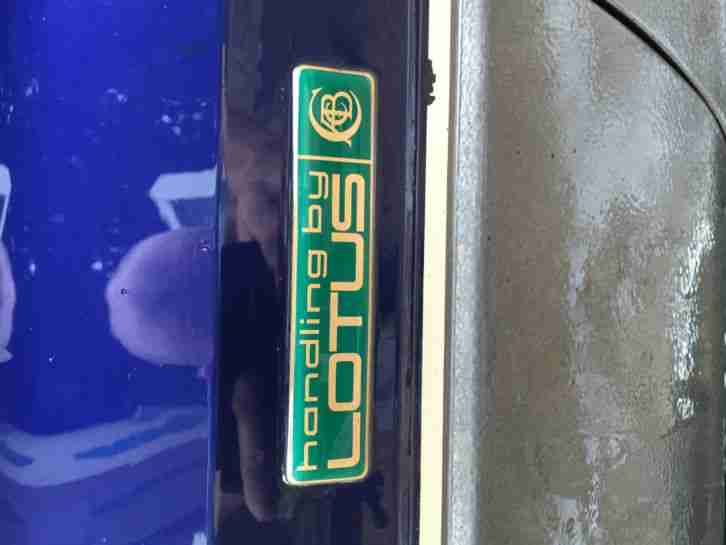 1992 ISUZU Bighorn 3.1 lotus addition