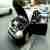  Expiry BLACK