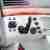  Converter Catalytic