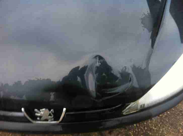  PEUGEOT Airbag