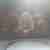  Expiry Paint