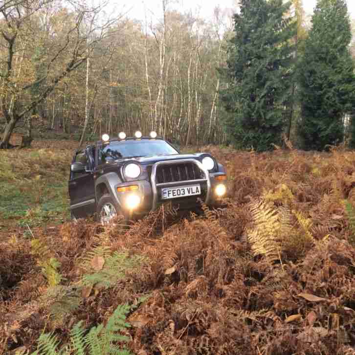 2003 JEEP CHEROKEE SPORT BLUE LPG Motied 4 x 4