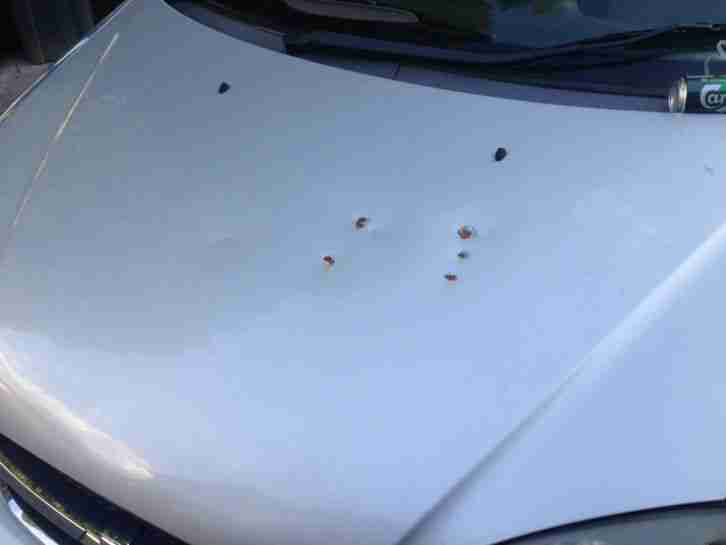 2005 CHEVROLET TACUMA SX GREY