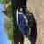  CITROEN Steering