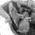  Automatic Engine
