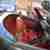  Safety Airbag