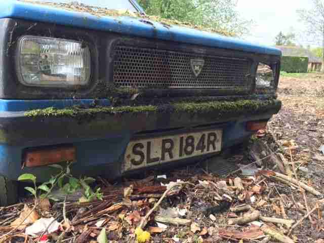Blue Robin Reliant, R Reg, Perfect Project