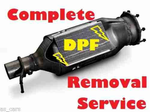 Complete DPF REMOVAL Service for 6, 5