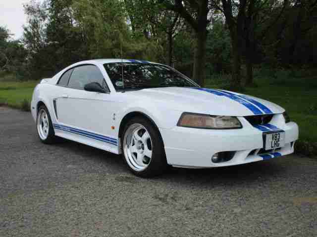 FORD MUSTANG SVT COBRA SERVICE HISTORY SIMPLY STUNNING PERFECT SHOW CAR