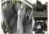 _ _ FSH 2003 ALFA ROMEO 147 T SPARK TURISMO BLACK 3 DOOR HATCHBACK PX WELCOME