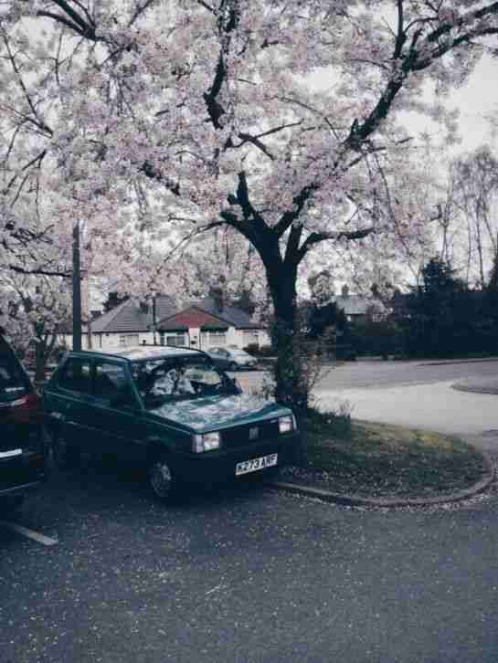 Fiat panda automatic