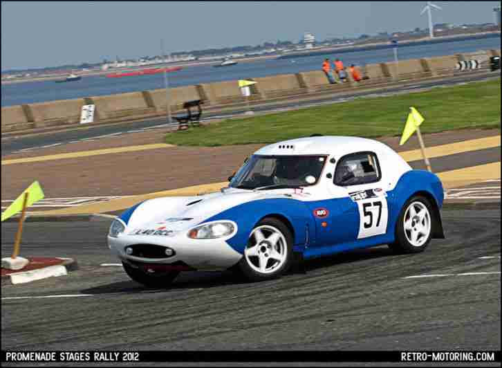 Ginetta G20 works rally car, Dry sumped, Dog