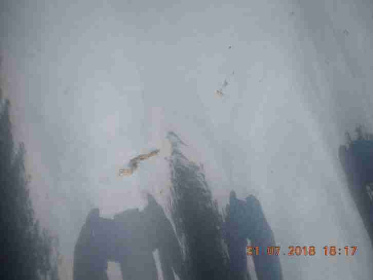 JAGUAR X-TYPE SPORT 2.2 DIESEL ESTATE 6 SPEED MANUAL IN ULTRA VIOLET BLUE CAT C