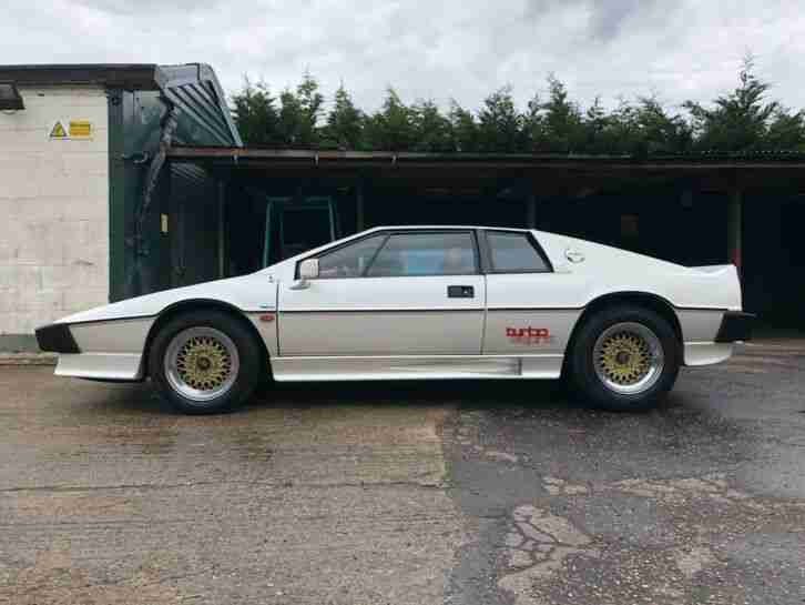 LOTUS ESPRIT PURCHASING SERVICES