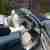  Steering Safety