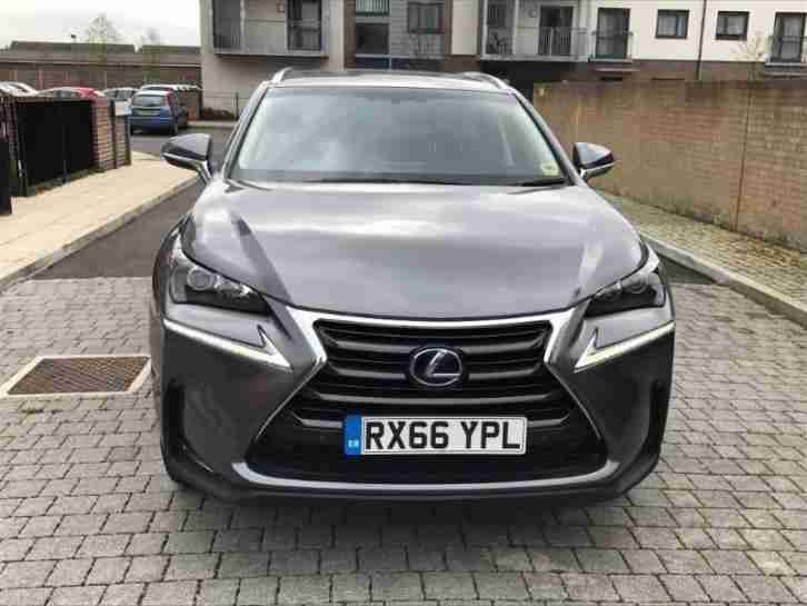 Lexus NX 300h LUXURY