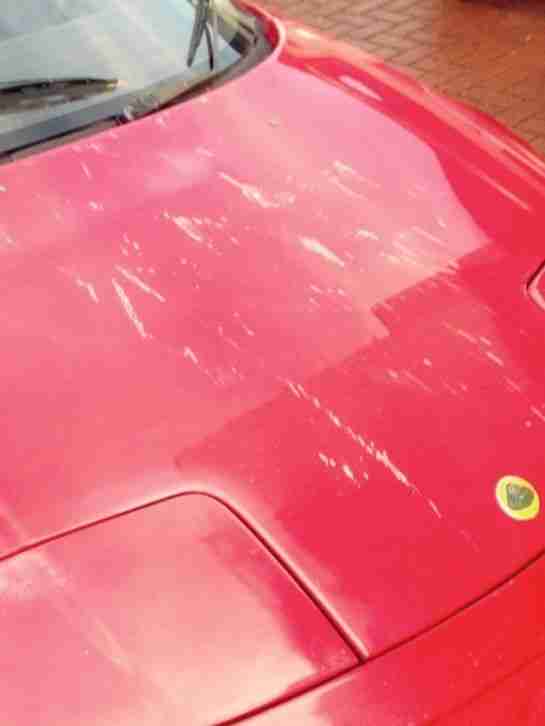 Lotus Elan M100 se turbo red spares or repair project moted and taxed car