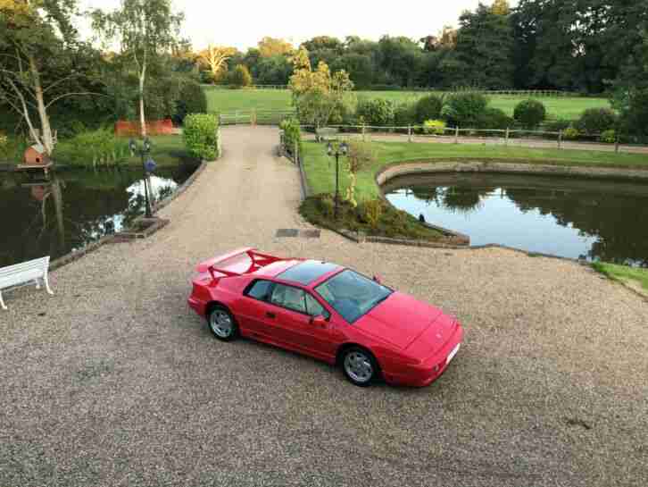 Lotus Esprit High Wing