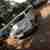  belts Mileage