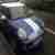  Catalytic Metallic