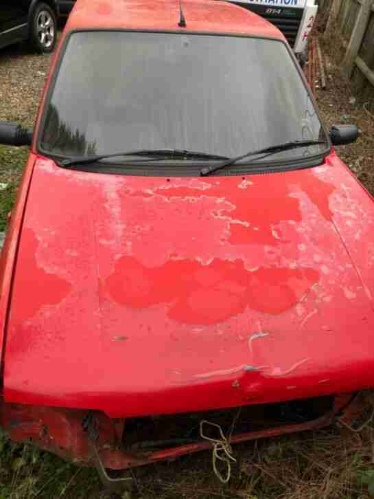 205 XE Project 1.1 3 Door Body Shell