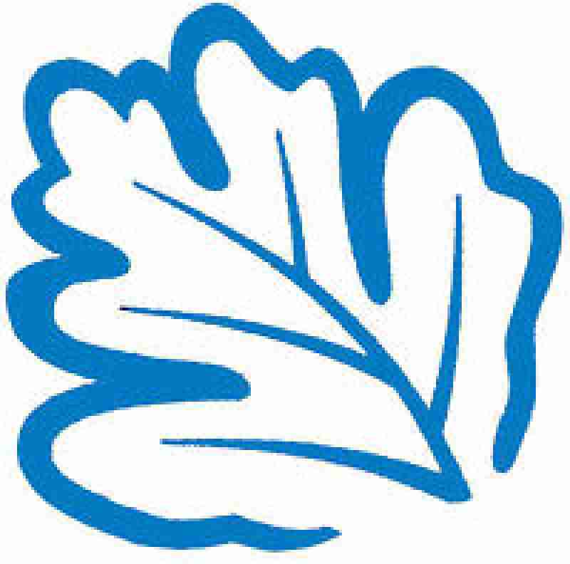 Skoda Fabia 1.4TDI PD ( 80bhp ) DPF Greenline