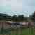  autograss used