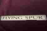 flying spur emblem badge