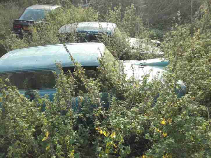 regal reliant van trottersvan