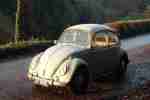 vw beetle bug 1967 rat look rare one year